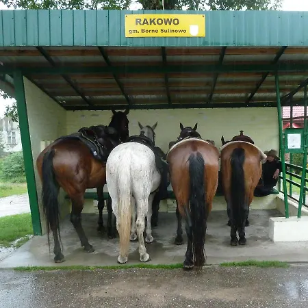 בית הארחה Kowalski