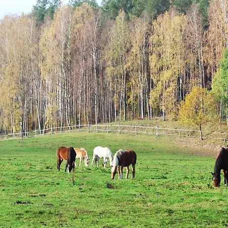 Kowalski Lubowo (Szczecinek)