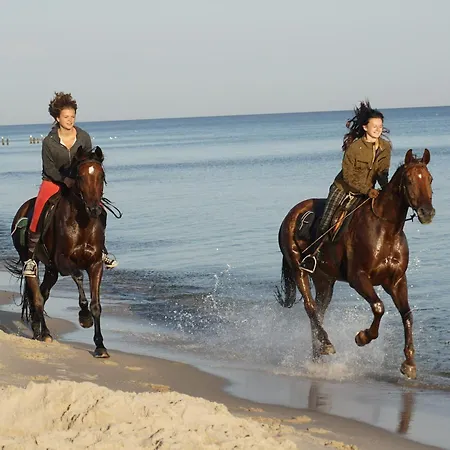 Kowalski Penzion Lubowo (Szczecinek)