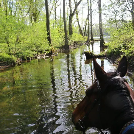 Kowalski בית הארחה