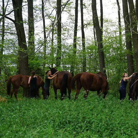 Kowalski Lubowo (Szczecinek)