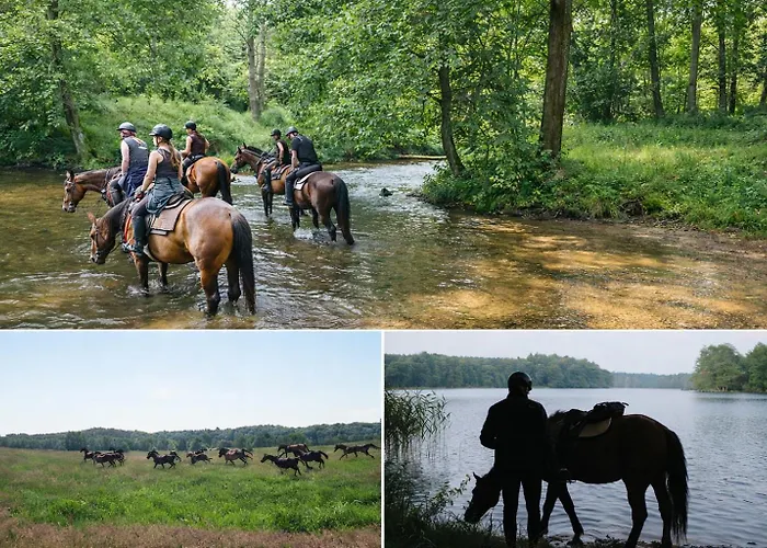 게스트하우스 Kowalski *